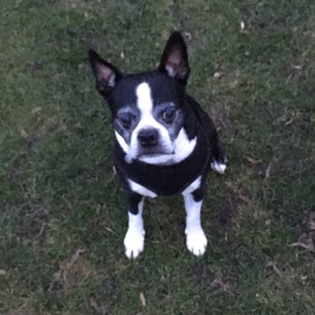 Hiroshima-Nagasaki-Park - Good place for dog walks! - Public Plazas Near Me - Cologne, NW