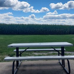 The Tusky Dugout - Corn field, blue sky, picnic tables