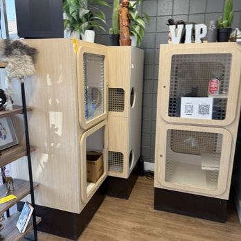 VIP Dog Grooming - Cages - Pet Groomers Near Me - Stanton, California