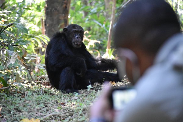 Africa Adventure Consultants by null