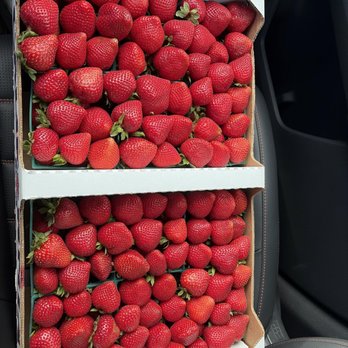 Patys Farm - Full flat ($44) - Grocery Near Me - Somis, California Patys Farm - Full flat ($44) - Grocery Near Me - Somis, California
