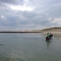Island View Riding Stables