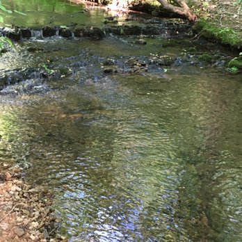 Machine Falls Loop Trail - Creek leading to the falls - Hiking Near Me Machine Falls Loop Trail - Creek leading to the falls - Hiking Near Me