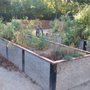 Photo of Elmhurst Med Center Community Garden
