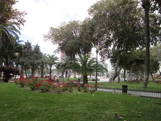 Parque San Telmo by null