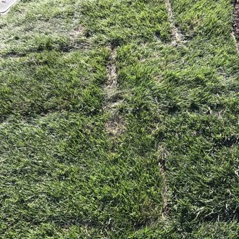 Quiet Elegance Landscape - Is it so difficult to put the pieces together? - Landscaping Near Me