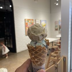 Jeni's Splendid Ice Creams - Green Mint Chip Pint