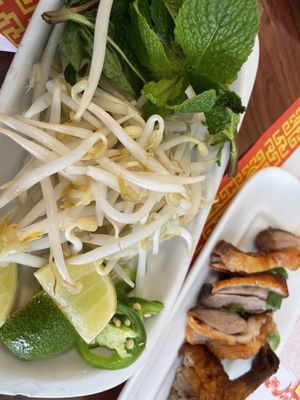 Green Papaya by null