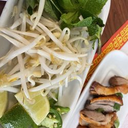 Green Papaya - Duck noodle -