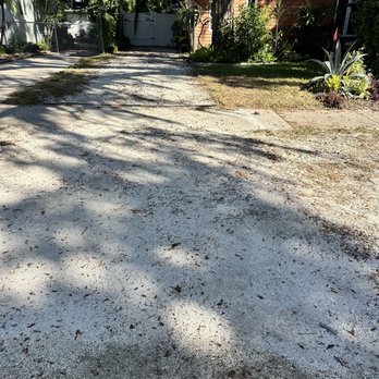 Campbells Noble Tree Service - Before - Tree Services Near Me