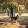 Photo of Tompkins Square Park Dog Run