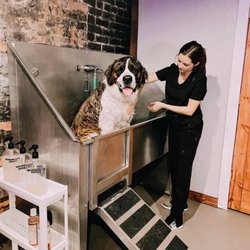 Peachy Paws Pet Store - Self Serve Tub perfect for all sizes!