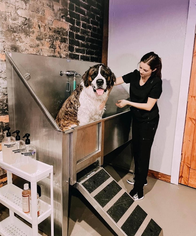 Peachy Paws Pet Store Image