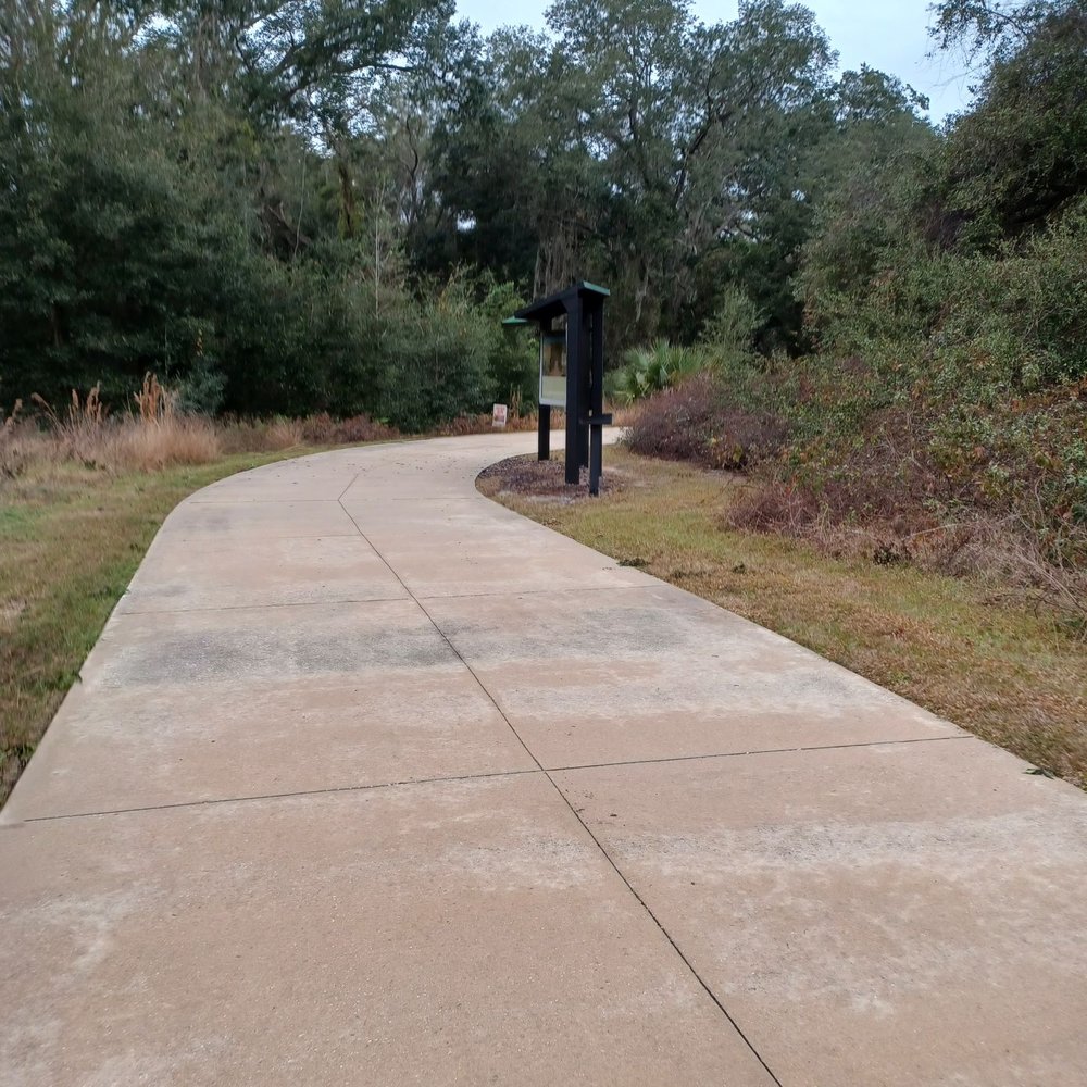 Pear Park - Hiking Near Me - Leesburg, Florida Pear Park - Hiking Near Me - Leesburg, Florida