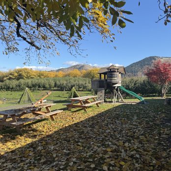 Pearl's Place - Kids area - Fruits & Veggies Near Me - Hood River, Oregon Pearl's Place - Kids area - Fruits & Veggies Near Me - Hood River, Oregon