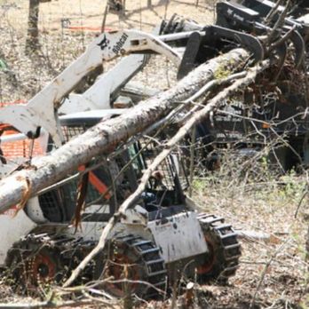Preferred Land Services - a tree being cut by a machine - Landscaping Near Me Preferred Land Services - a tree being cut by a machine - Landscaping Near Me