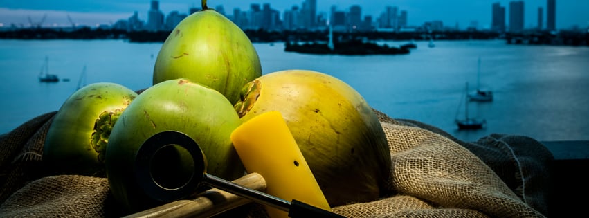 Coconut Stock Logo