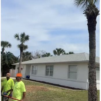 John Sisco Tree Service And Removals - Tree Services Near Me - Palm Coast, Florida John Sisco Tree Service And Removals - Tree Services Near Me - Palm Coast, Florida
