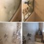 Photo of Traci's Cleaning Service