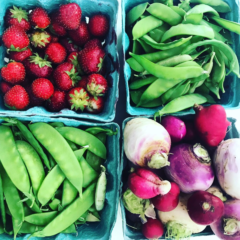 Homefields Care Farm - Weekly CSA pickup of seasonal produce. Peas & strawberries were pick your own items from the fields for the week. - CSA Near Me - Millersville, Pennsylvania