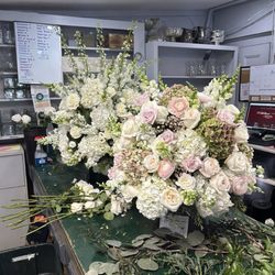 Main Street Nursery