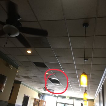 Ledo Pizza - Missing ceiling tiles - Pizza Near Me - Eldersburg, Maryland