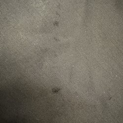 Euro Cleaners - Damage on pants