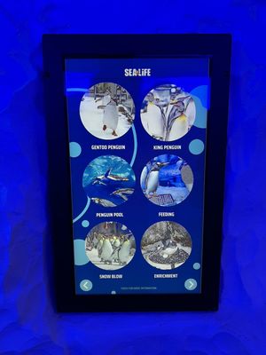 SEA LIFE Kelly Tarlton's Aquarium by null