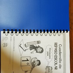 Cyber Frogs - Copies turned into a spiral notebook. Sweet.