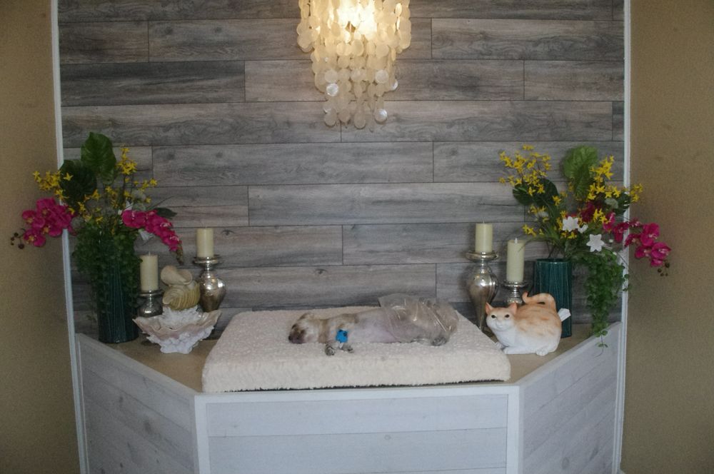 Coastal Pet Cremation Image