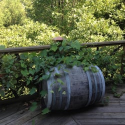 Keg Springs Winery