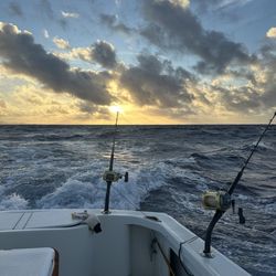 Blue Water Fishing Kauai - Sunrise