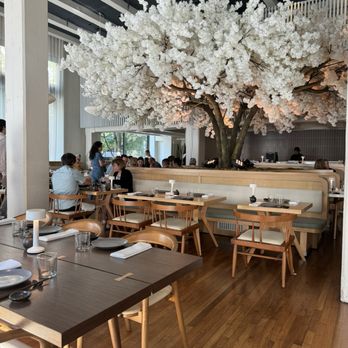 Janken - Japanese Near Me - Portland, Oregon