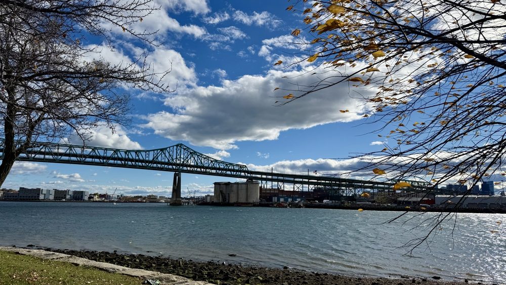 Mary O' Malley Waterfront Park - social services organization in Chelsea, MA