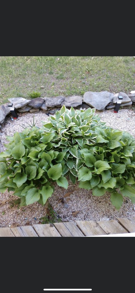 Slide of Jax’s Odds & Ends