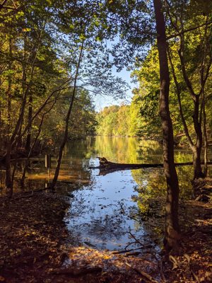 Lake Norman State Park by null