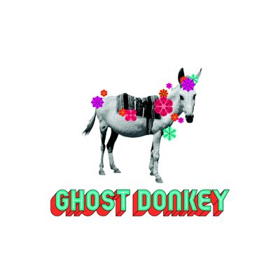 Ghost Donkey - Denver by null