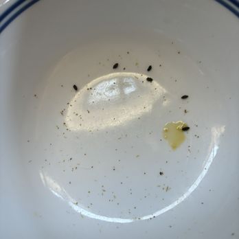 Vacasa - Mouse feces and urine, food was eaten by mice. - Vacation Rentals Near Me Vacasa - Mouse feces and urine, food was eaten by mice. - Vacation Rentals Near Me