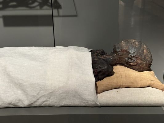 Museo Egizio by null