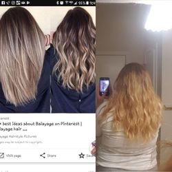 The Hive - The left is the picture I showed them I wanted,  but to just not darken my roots. the picture on the right is what I got.