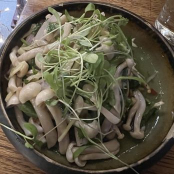 Mahaniyom - Mushroom salad - Cocktail Bars Near Me - Brookline, Massachusetts Mahaniyom - Mushroom salad - Cocktail Bars Near Me - Brookline, Massachusetts
