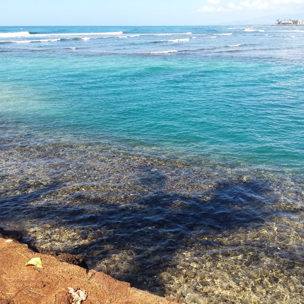 The Richard Chamberlain Bench - Clear water and sunny skies! - Performing Arts Near Me - Honolulu, Hawaii