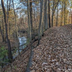 Paul Ruster Park - Paul Ruster Park