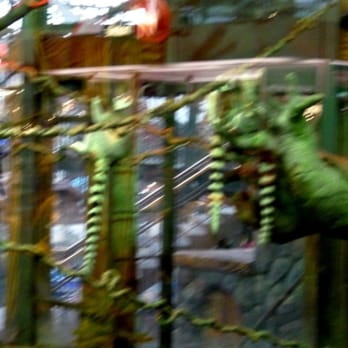 West Edmonton Mall - LEMURS! - Shopping Centers Near Me - Edmonton, Alberta West Edmonton Mall - LEMURS! - Shopping Centers Near Me - Edmonton, Alberta