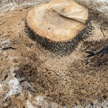 A-1 stump Monkey - Tree Services Near Me A-1 stump Monkey - Tree Services Near Me