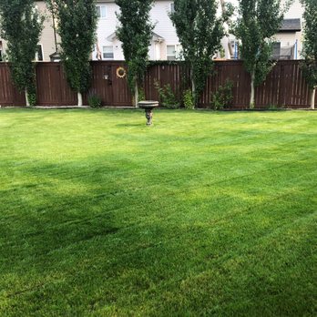 RWJT Mowing & Snow Removal - a freshly mowed lawn - Lawn Services Near Me RWJT Mowing & Snow Removal - a freshly mowed lawn - Lawn Services Near Me