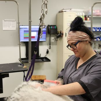 Pet Wow - Grooming and Veterinary care? Yep we do both! - Pet Groomers Near Me - Florence, Kentucky Pet Wow - Grooming and Veterinary care? Yep we do both! - Pet Groomers Near Me - Florence, Kentucky
