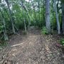 Photo of Renew Land Management