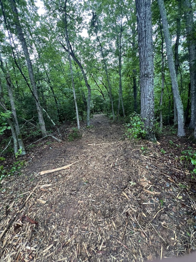 Renew Land Management - tree service in Greenville, SC