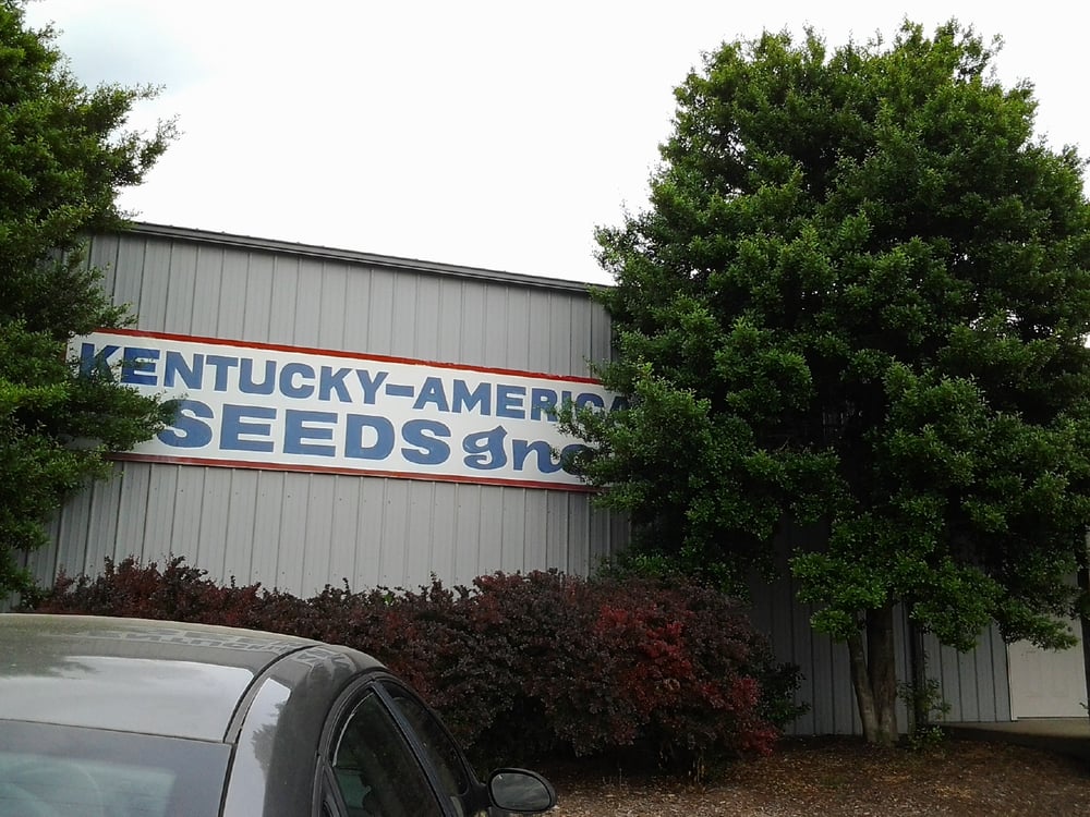 KENTUCKY AMERICAN SEEDS Updated August 2024 205 Means Ave